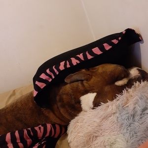 Meet your Posher, Aaron